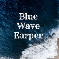 Blue Wave Earper 🌊(@BlueEarper) 's Twitter Profile Photo
