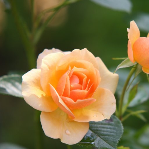 Chrissy51004045's profile picture. 😀😀😀