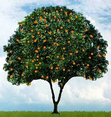 AbaSalah15's profile picture. 