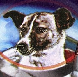 Twits ¡Guaus! para la comunidad científica
perritos_astronomicos https://t.co/BJHKg3B1BD Página oficial del ciclo de charlas astronómicas🐈🌞🌑