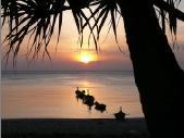 Hi, kind regards to all. I hope you will enjoy my tweets. Thanks.