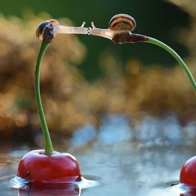 nibali_samantha's profile picture. contro la malinconia ci sono 2 medicine l'abbraccio di mio figlio e il Cioccolato 🤗