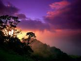 Hi, I want to greet you all here on twitter. Hope you will enjoy my tweets. Thanks.