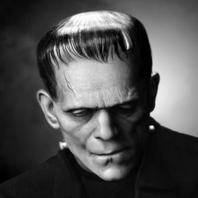 IllbeFrank1's profile picture. misunderstood monster of artificial life