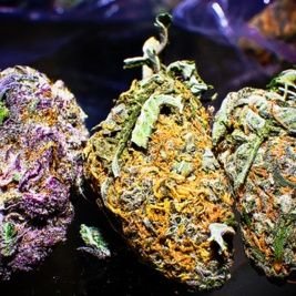 The Cannabis Hub Oncannabiss Twitter The Cannabis Hub Oncannabiss Twitter