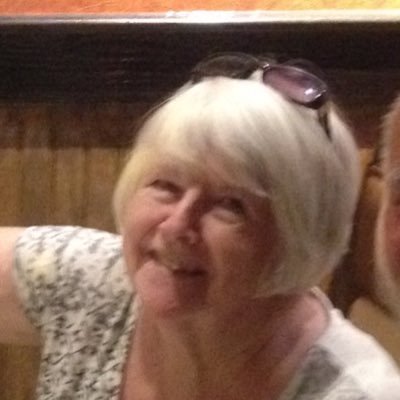 DianePe53877311's profile picture. 