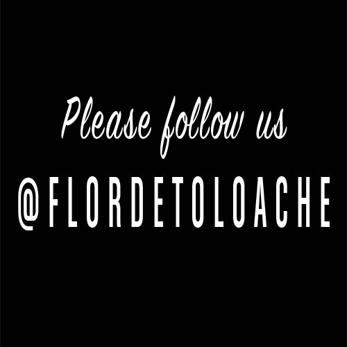 PLEASE FOLLOW US AT @flordetoloache THANK YOU for your continued support! See you over there ;)