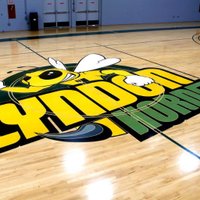 Vermont State University Lyndon Basketball (@lyndonbball) 's Twitter Profile
