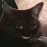 чорноя понтера (@_king_of_cats) 's Twitter Profile
