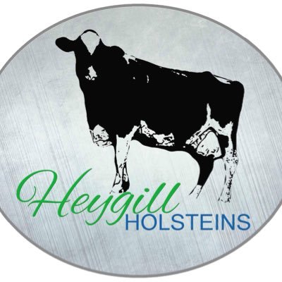 _Heygill's profile picture. D & LM Cowgill, breeders developing the Heygill herd to maximise their potential. @ArlaDairy & Tesco Sustainable Dairy Group members