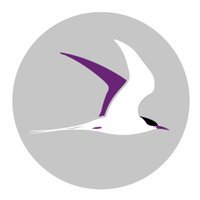 @TERNfellow (@ternfellow) 's Twitter Profile