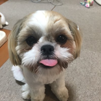 PFbEodbHR3CbVLF's profile picture. 