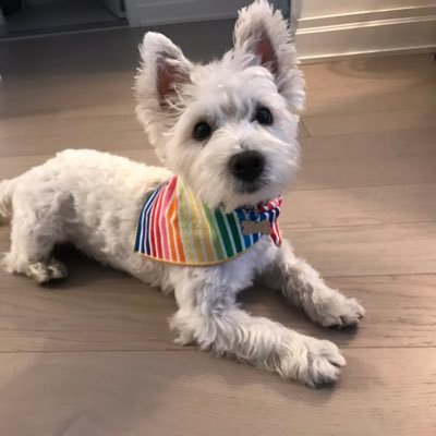 NYKim3's profile picture. 