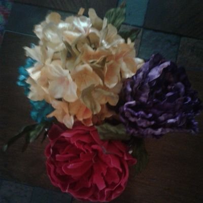 lraines265's profile picture. 