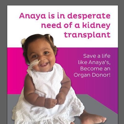 Anaya was born with ARPKD. Our living donor hero made a kidney transplant possible in September 2019. Our 3 yr old is thriving. #OptIn #ShareYourSpare