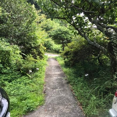 mongyuu's profile picture. もんぐです。今はもんぎゅーだったりもんぐぅだったりします。なんだか柔らかく動くものを作ったりしているようです。