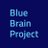 EPFL Blue Brain Project