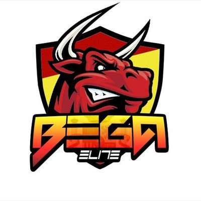 Jugador competitvo de BF1.