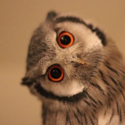 swePeriscope's profile picture. Finding OSINT