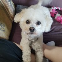 Randie Friedman (@msrfriedmantcs) 's Twitter Profile