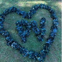 PVHS_Cheering (@pvcheering) 's Twitter Profile