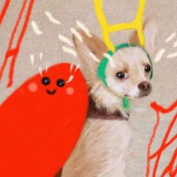 Perlita (@weareperlita) 's Twitter Profile