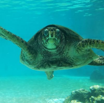 sonobaka's profile picture. 自分たちの身に起こっているのは、どういうことなのか。このすべては、最後にはどうなって終わるのか。