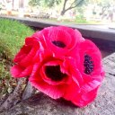 lina duong - @011198Hang - Twitter