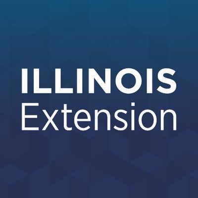 We are Illinois Extension's Community and Economic Development team. We work with local communities to build capacity, create resilience, and improve lives.