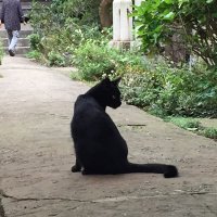 yuki (@yukicandle) 's Twitter Profile