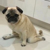 Beth Morgan (@methborgan) 's Twitter Profile