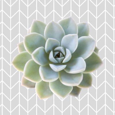 RoseGoldSummer's profile picture. | calvin | your local tranny | gay | “Why are you committing steamroller?” | tumblr migrant | stan Hatari