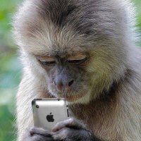Bruno Gaccio (@gacciob) 's Twitter Profile Photo Bruno Gaccio (@gacciob) 's Twitter Profile Photo