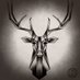 Scottish Stag And Vixen (@scottishsandv) Twitter profile photo Scottish Stag And Vixen (@scottishsandv) Twitter profile photo