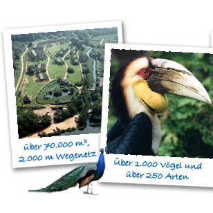 Vogelpark_Niend's profile picture. Der Vogelpark Niendorf / Timmendorfer Strand ist der natürlichste Vogelpark Deutschlands und verfügt über eine der größten Sammlungen lebendiger Eulen weltweit.
