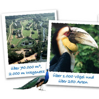 Vogelpark Niendorf (@vogelpark_niend) 's Twitter Profile