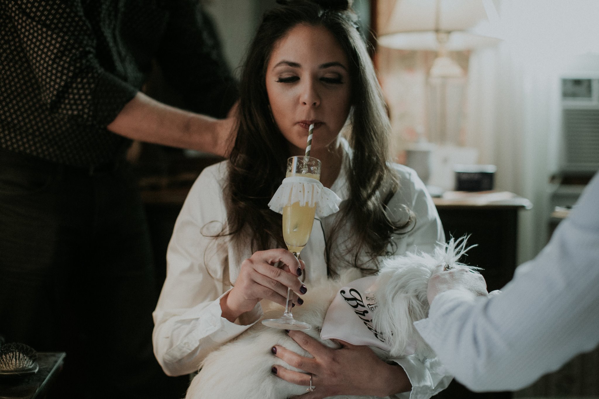 JavaKeepsMeWoke's profile picture. my toxic trait: reading the book before I see the movie because the movie looks good—and never actually seeing the movie 🥴