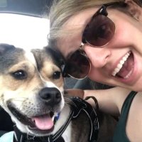 Kate Downer (@kdownermusic) 's Twitter Profile