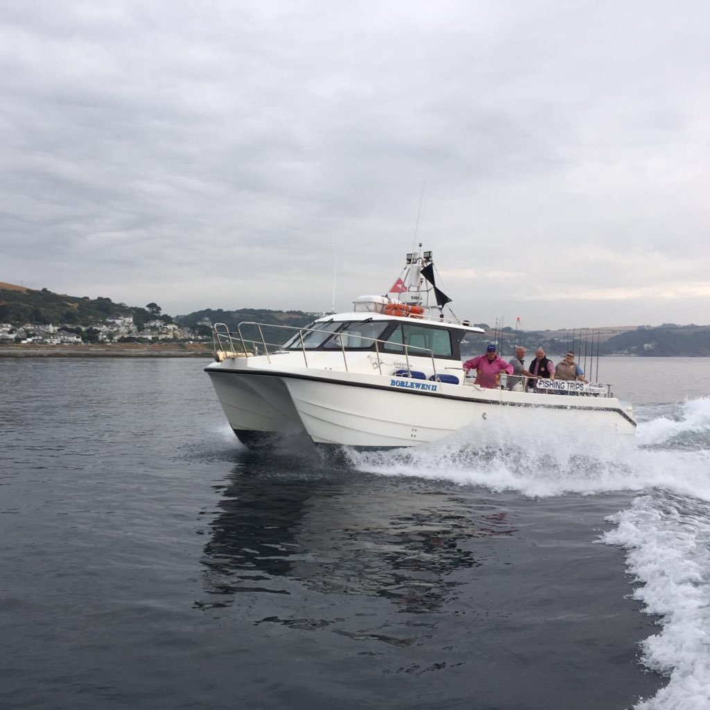 Borlewenfishing's profile picture. shark fishing and mackerel fishing trips run from Fowey and Looe in Cornwall.