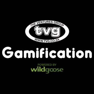TVGGamification's profile picture. 