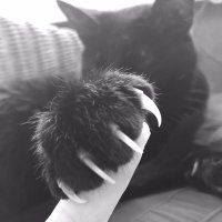 Elli (@elli_d_29) 's Twitter Profile