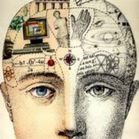 B's Pro-Autonomous Brain(@Brain1Rn) 's Twitter Profileg