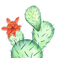 Prickly Pear Therapy and Training(@pricklytherapy) 's Twitter Profile Photo