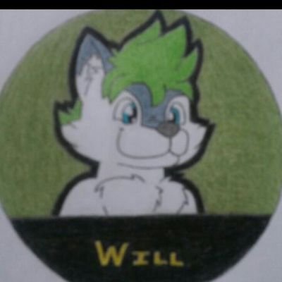 Hi im Willy I like art and animals and being silly

(he him) -Fox- need hugs
