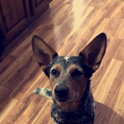 Erik_Scales's profile picture. Neutral