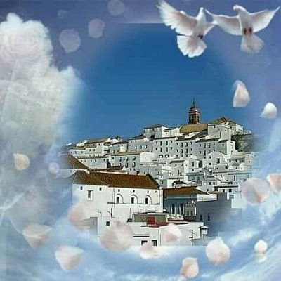 dilozca's profile picture. 