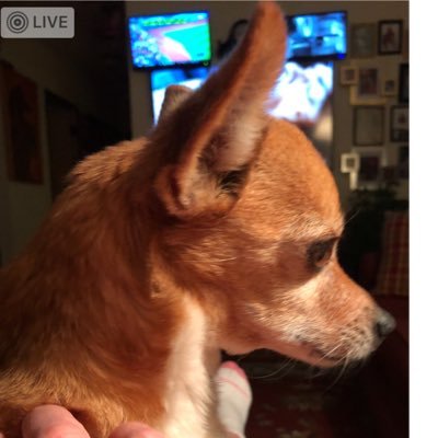 jh85dh_herbert's profile picture. 