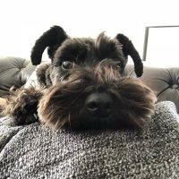 Dejdam (@dejdam3) 's Twitter Profile