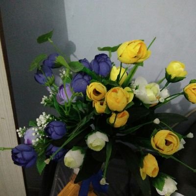 cantik84444's profile picture. Senyum