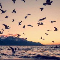 شيخان (@e30924202) Twitter profile photo